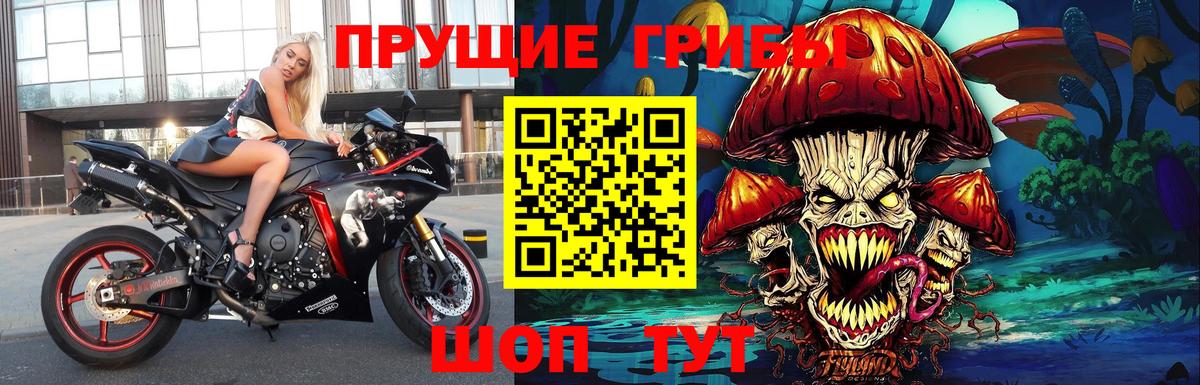 Галлюциногенные грибы Psilocybe Нижневартовск
